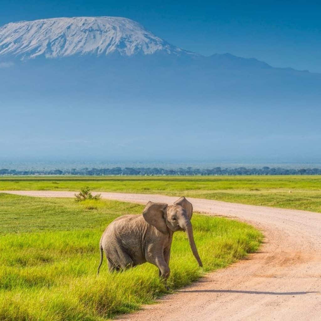 -best-safari-parks-and-game-reserves-near-nairobi