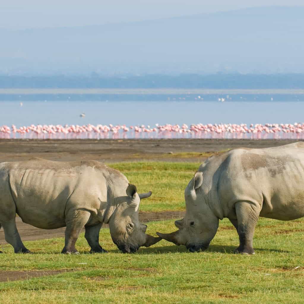 LAKE NAKURU NATIONAL PARK
