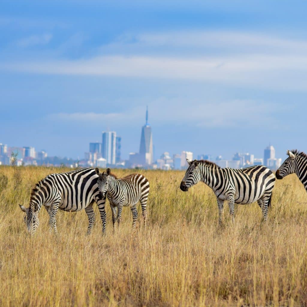 Nairobi National Park