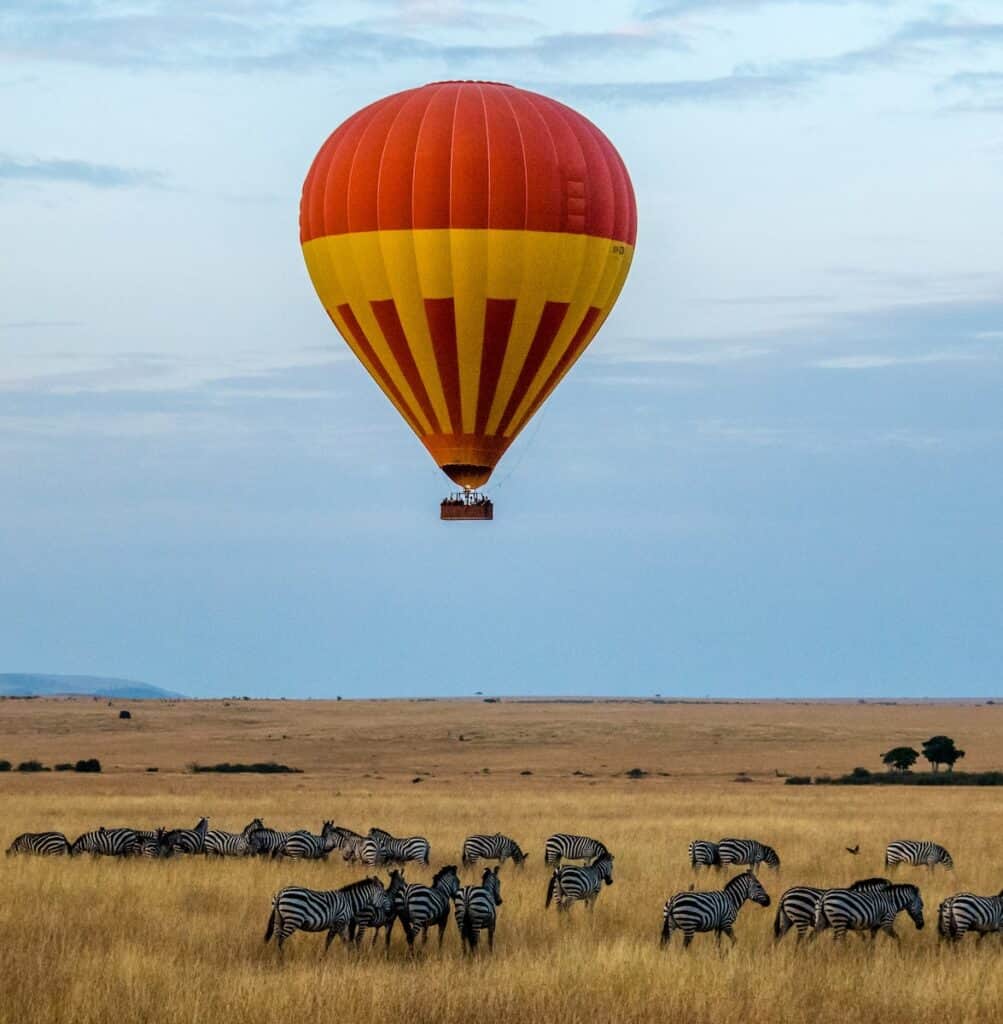 red and yellow hot air balloon over field with zebras
