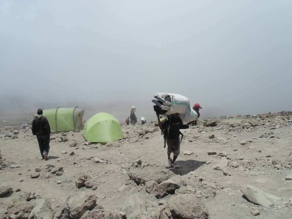 carrier, kilimanjaro, nature