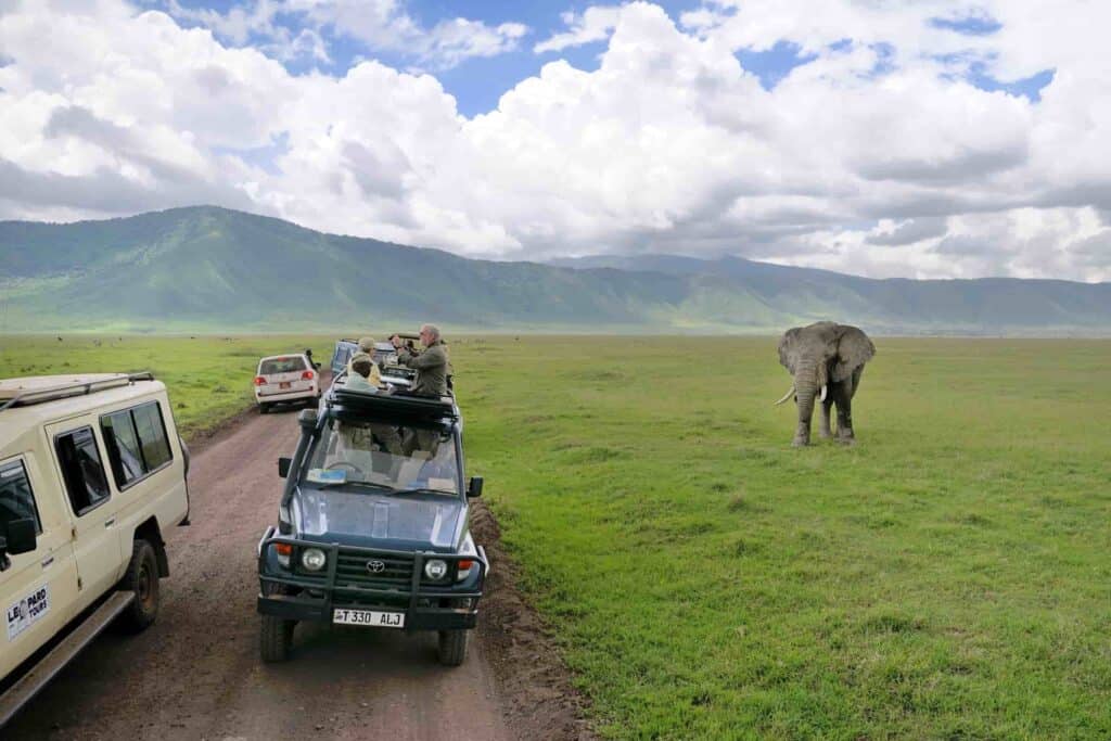 tours and safaris
