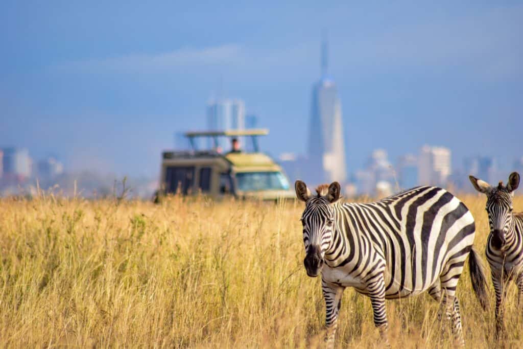 Tours and Safaris
