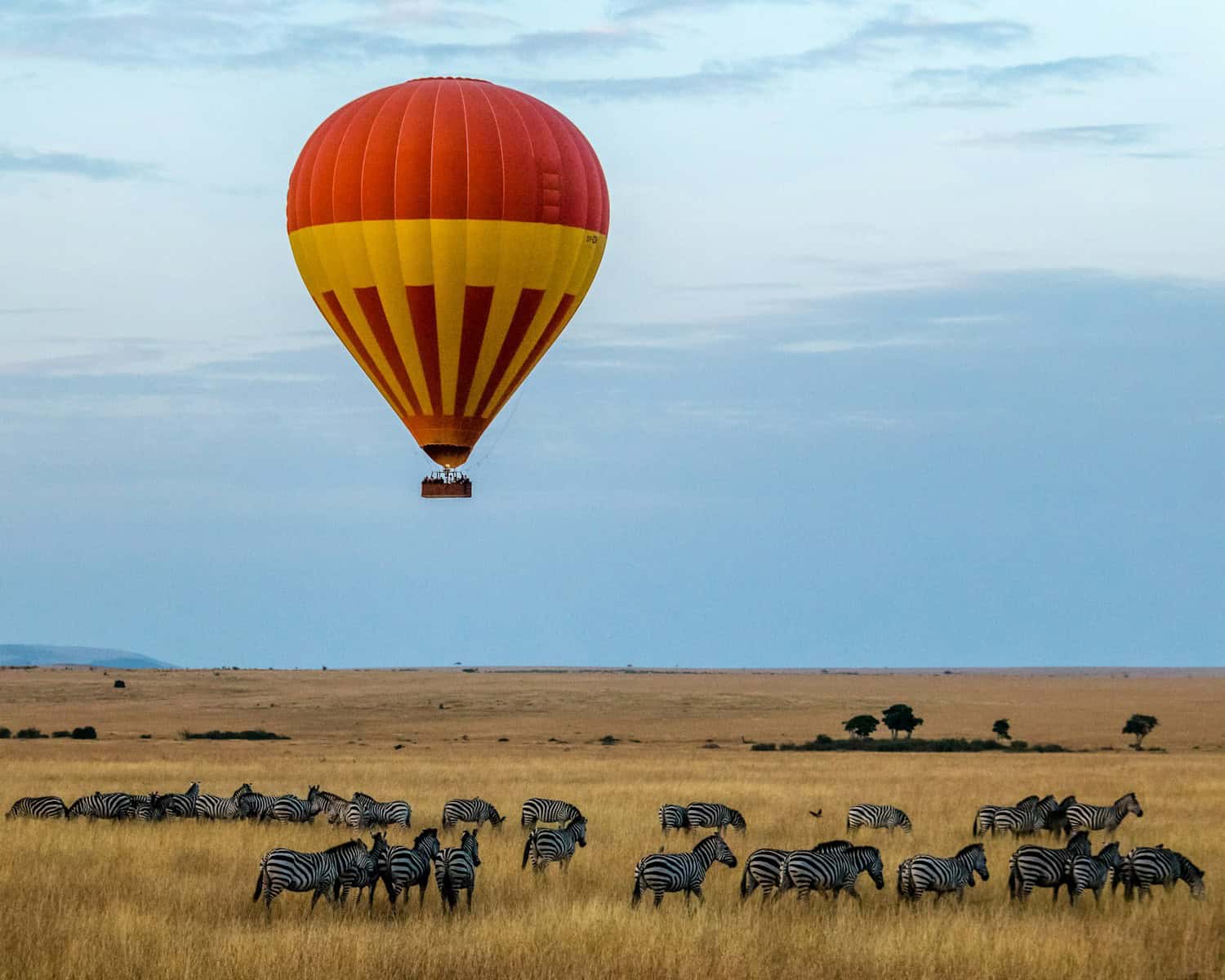 Unforgettable Journeys: Why a Safari in Kenya Should Top Your Travel List