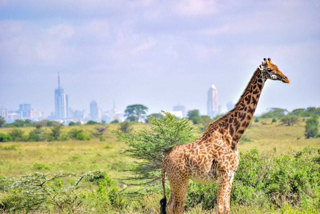 Nairobi Day Tours