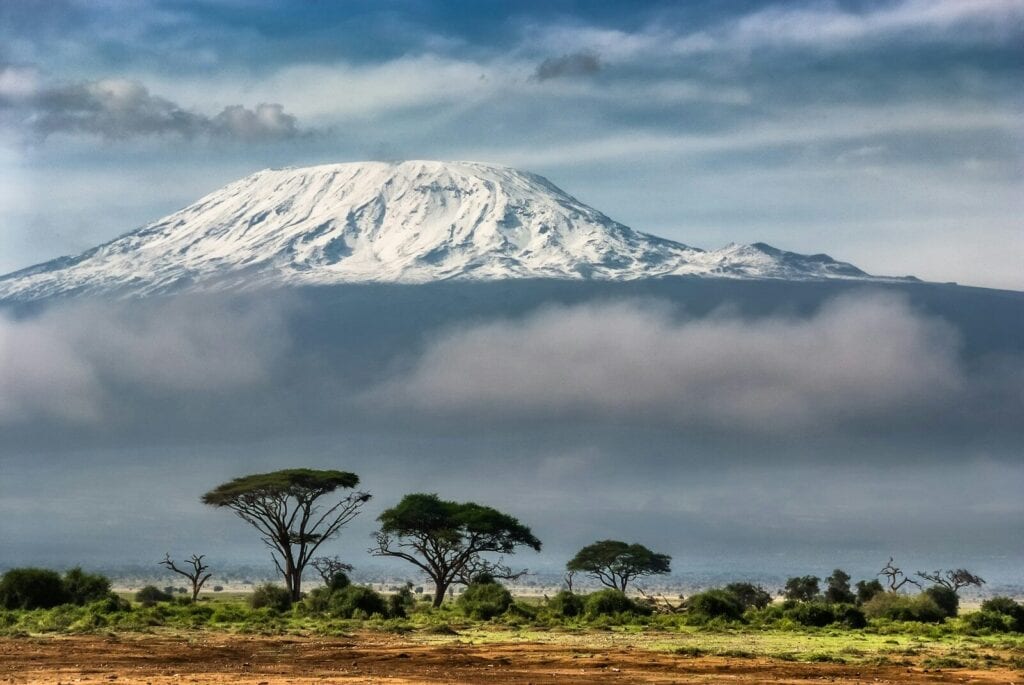 Amboseli Day Trip from Nairobi