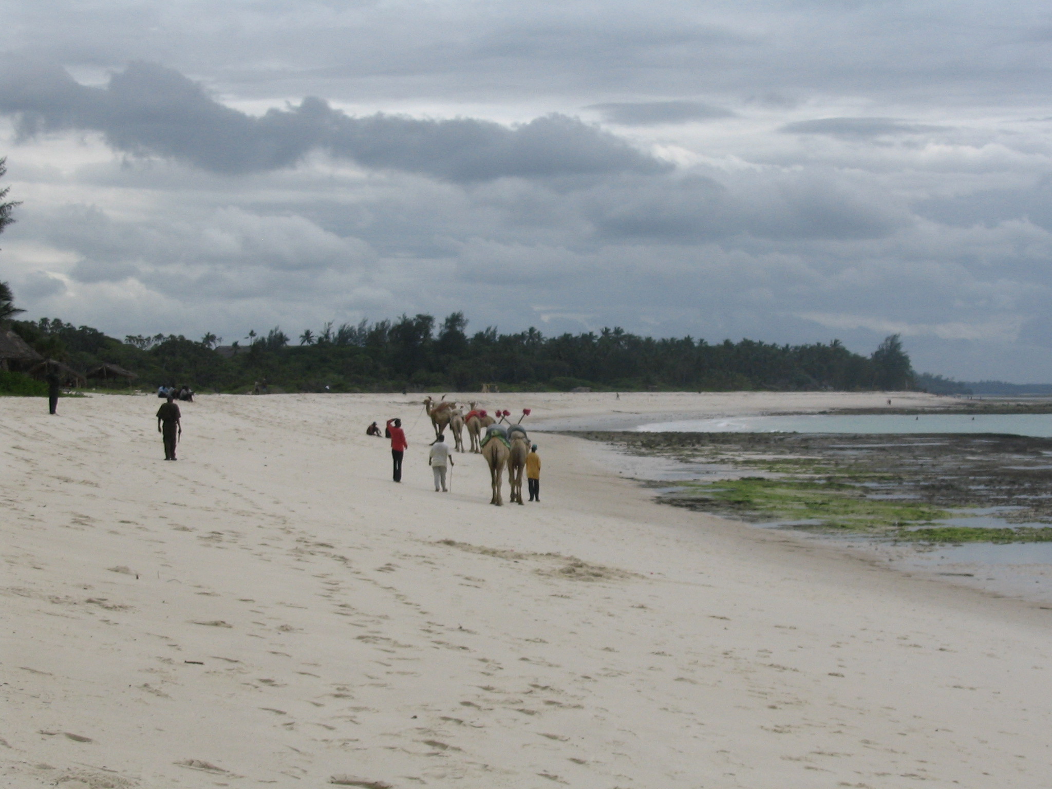 Diani beach gallery 2