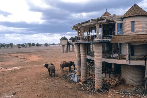 Saltlick-Lodge-Taita-Waterhole-600x400