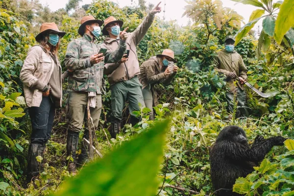 Small-Group-Gorilla-Trekking-Tours-600x400