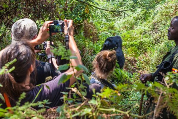 Uganda-Adventure-Safari-Safety-2022-600x400